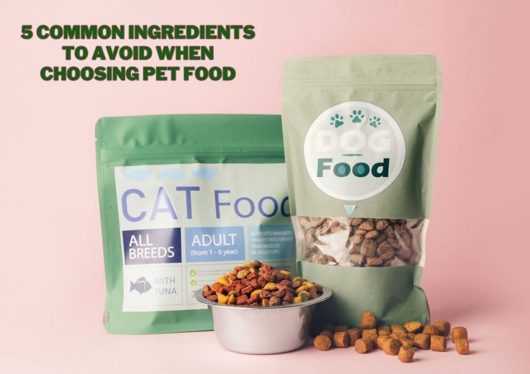 5 Common Ingredients to Avoid When Choosing Pet Food